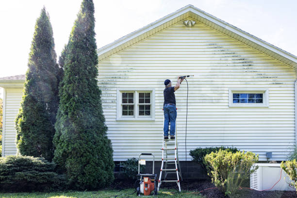 Best Affordable Power Washing  in Linden, AZ